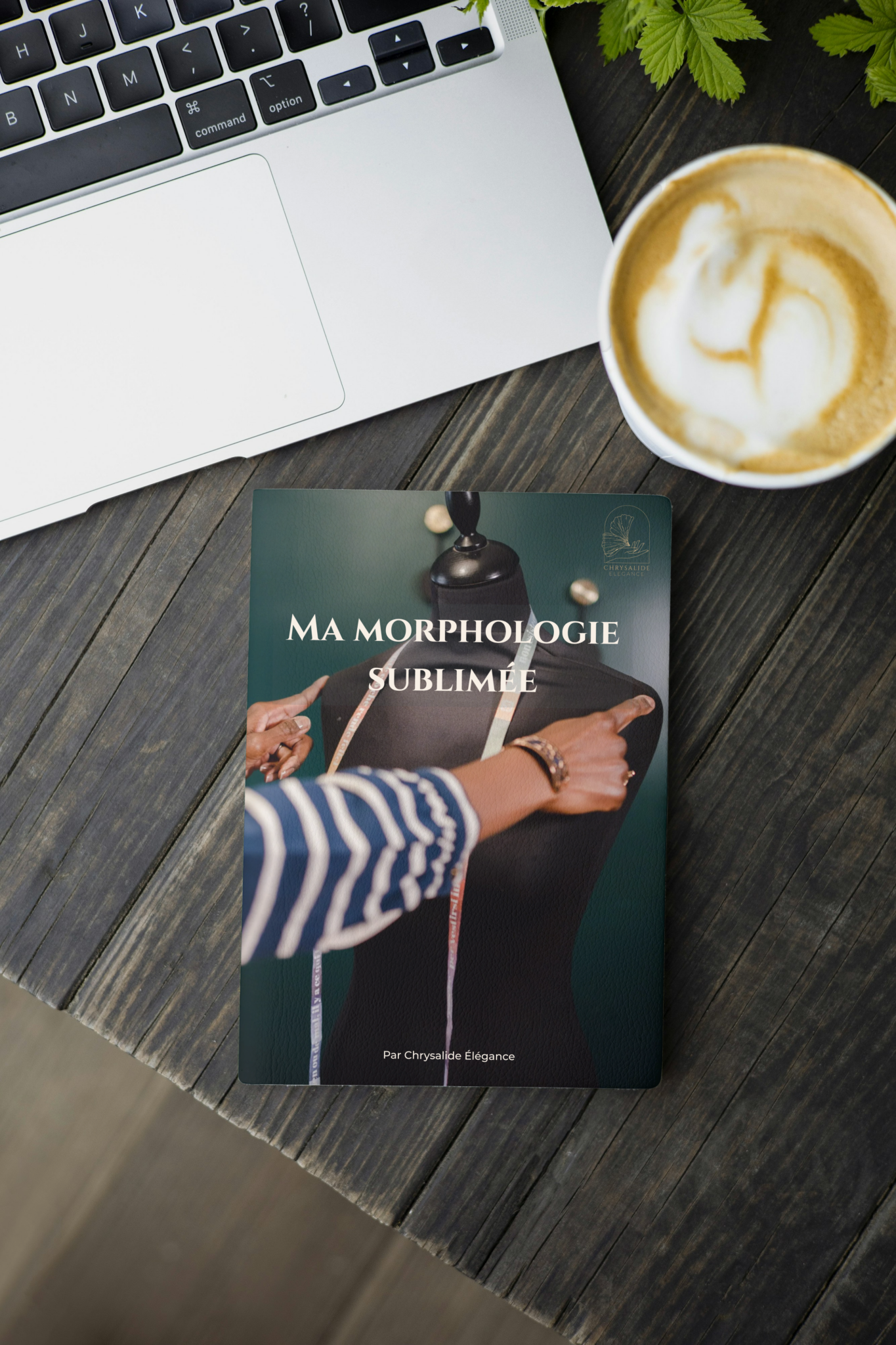 Ma morphologie sublimée e-book 2
